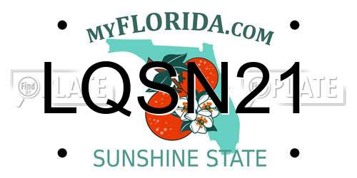 LQSN21 Florida License Plate