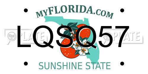 LQSQ57 Florida License Plate