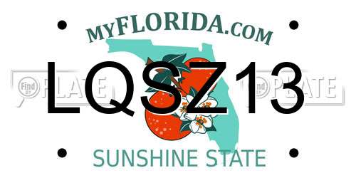 LQSZ13 Florida License Plate