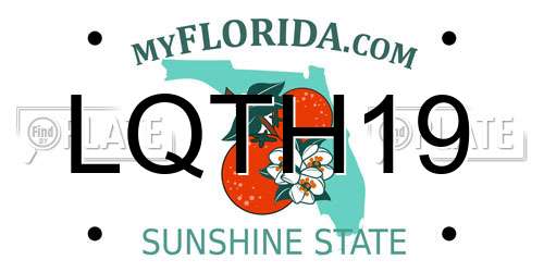 LQTH19 Florida License Plate