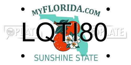 LQTI80 Florida License Plate