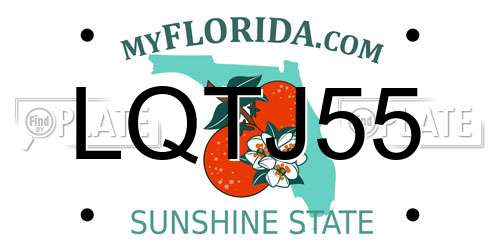 LQTJ55 Florida License Plate