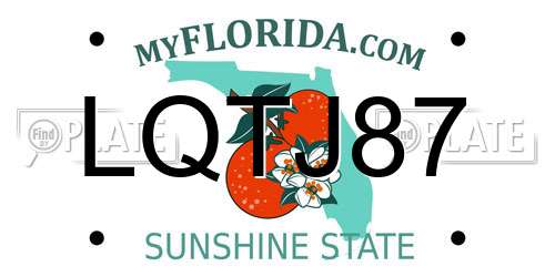 LQTJ87 Florida License Plate