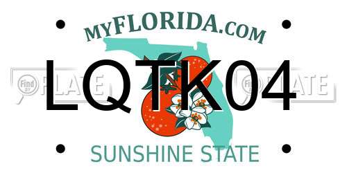 LQTK04 Florida License Plate