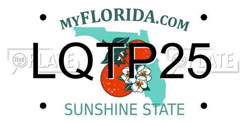 LQTP25 Florida License Plate