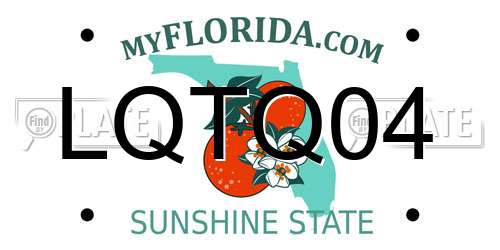 LQTQ04 Florida License Plate
