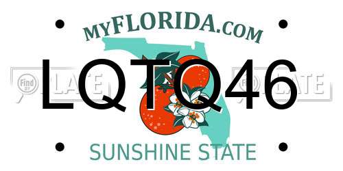 LQTQ46 Florida License Plate