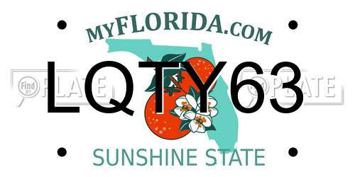 LQTY63 Florida License Plate