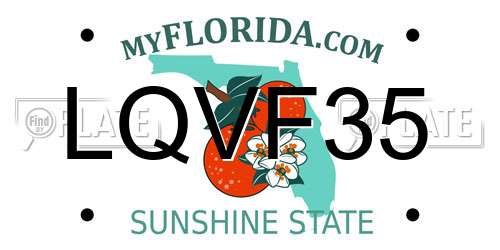LQVF35 Florida License Plate