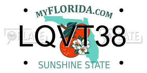 LQVT38 Florida License Plate