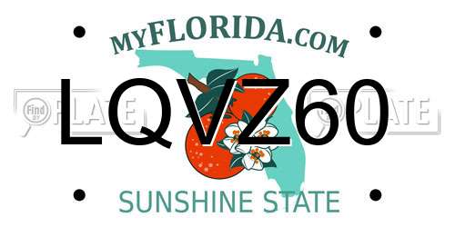LQVZ60 Florida License Plate