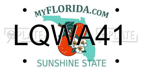 LQWA41 Florida License Plate