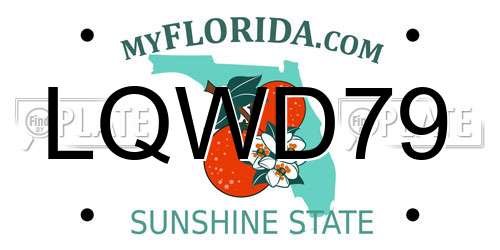 LQWD79 Florida License Plate