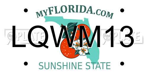 LQWM13 Florida License Plate