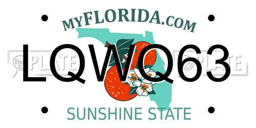 LQWQ63 Florida License Plate