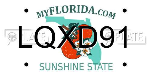 LQXD91 Florida License Plate