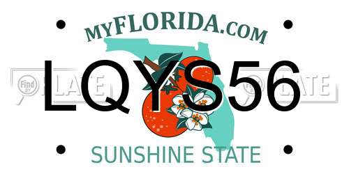 LQYS56 Florida License Plate