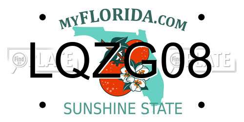 LQZG08 Florida License Plate