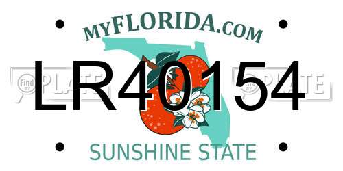 LR40154 Florida License Plate