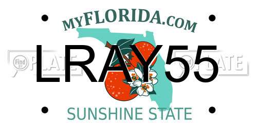 LRAY55 Florida License Plate