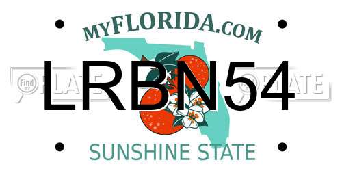 LRBN54 Florida License Plate