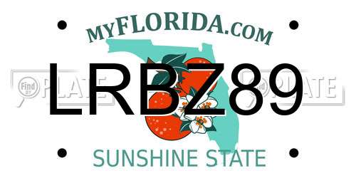 LRBZ89 Florida License Plate