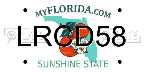LRCD58 Florida License Plate