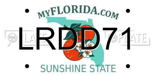 LRDD71 Florida License Plate