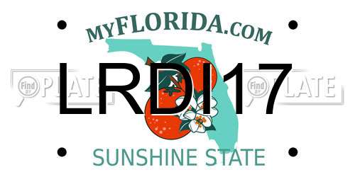 LRDI17 Florida License Plate