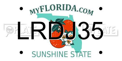 LRDJ35 Florida License Plate