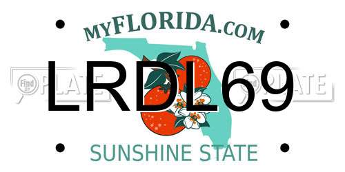 LRDL69 Florida License Plate