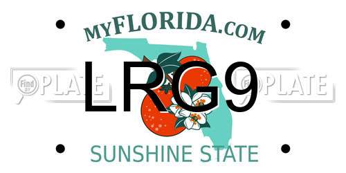 LRG9 Florida License Plate