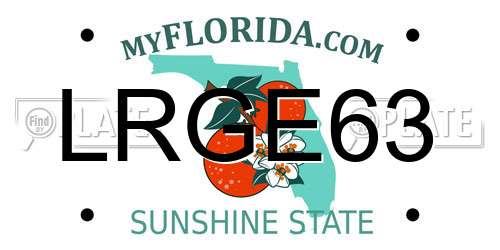 LRGE63 Florida License Plate