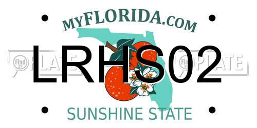 LRHS02 Florida License Plate