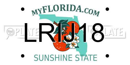 LRIJ18 Florida License Plate