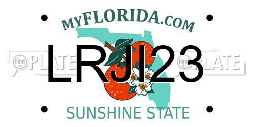 LRJI23 Florida License Plate