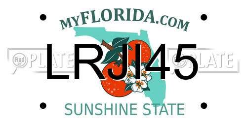 LRJI45 Florida License Plate