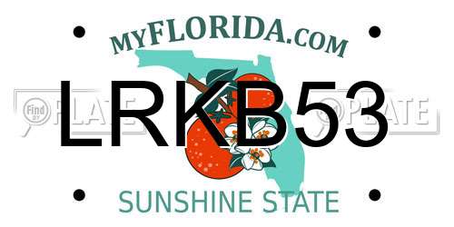 LRKB53 Florida License Plate