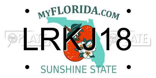 LRKJ18 Florida License Plate