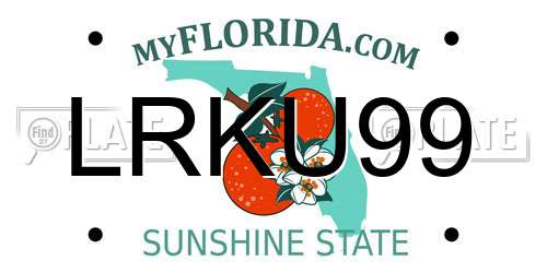 LRKU99 Florida License Plate
