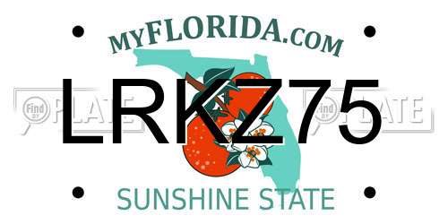 LRKZ75 Florida License Plate