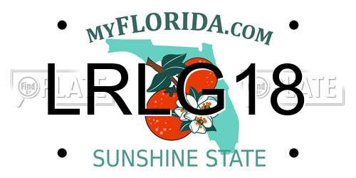 LRLG18 Florida License Plate