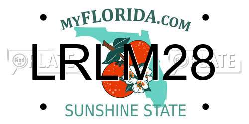 LRLM28 Florida License Plate