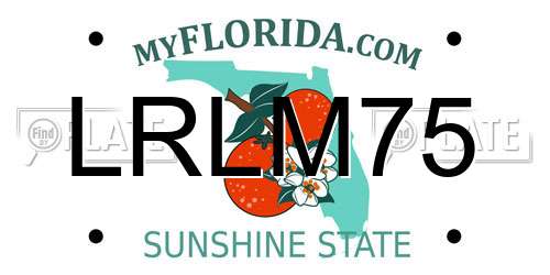 LRLM75 Florida License Plate