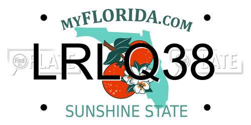 LRLQ38 Florida License Plate