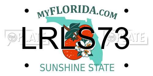 LRLS73 Florida License Plate