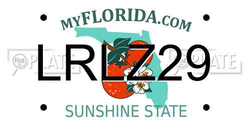 LRLZ29 Florida License Plate