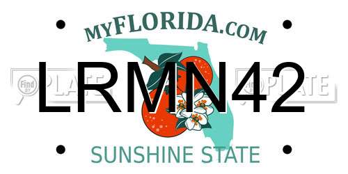 LRMN42 Florida License Plate