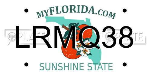 LRMQ38 Florida License Plate