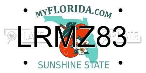 LRMZ83 Florida License Plate